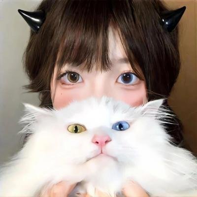 电影卡车野郎·故乡特急便